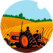 День работника сельского хозяйства и переработки - 2023